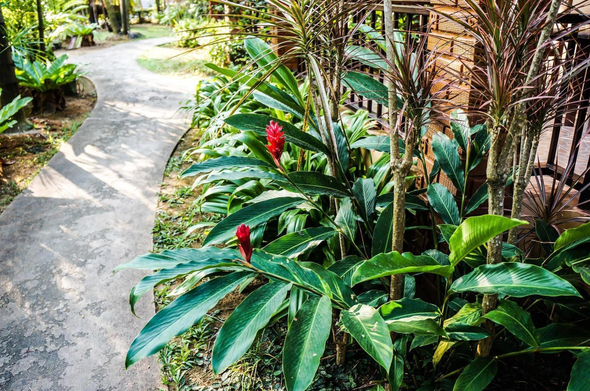 Hotel Tanamas House Thalang Exterior foto